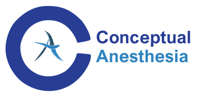 Conceptual Anesthesia logo